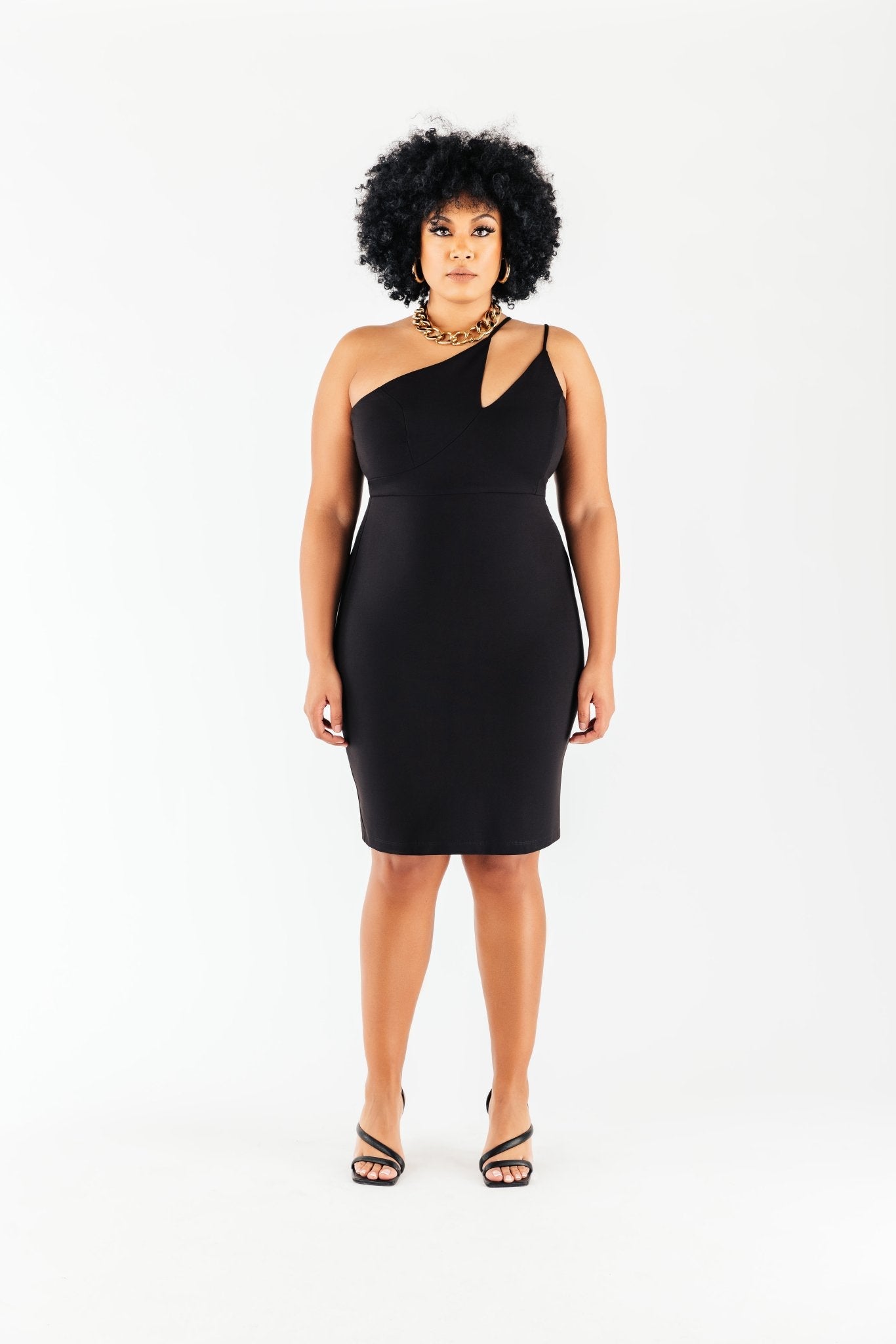 Nicole Ponte Knit Dress – Chloe Kristyn